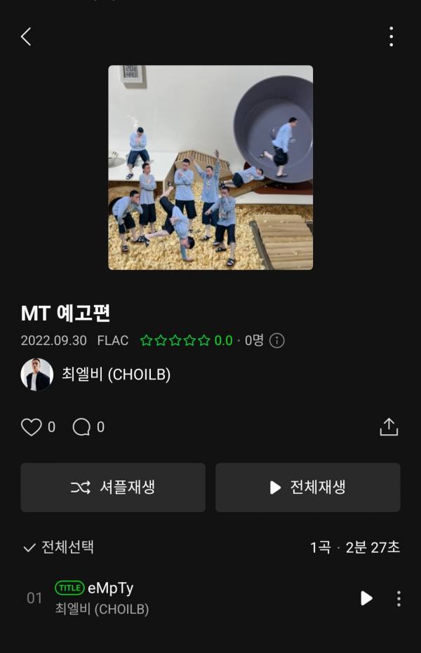 Screenshot_20220930-180110_Melon.jpg