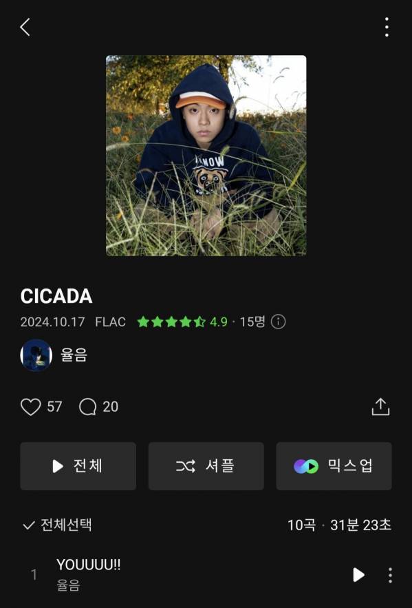 Screenshot_20241017_193740_Melon.jpg