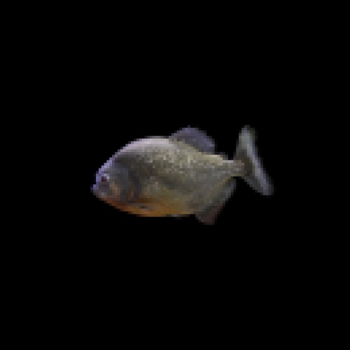20691680.jpg