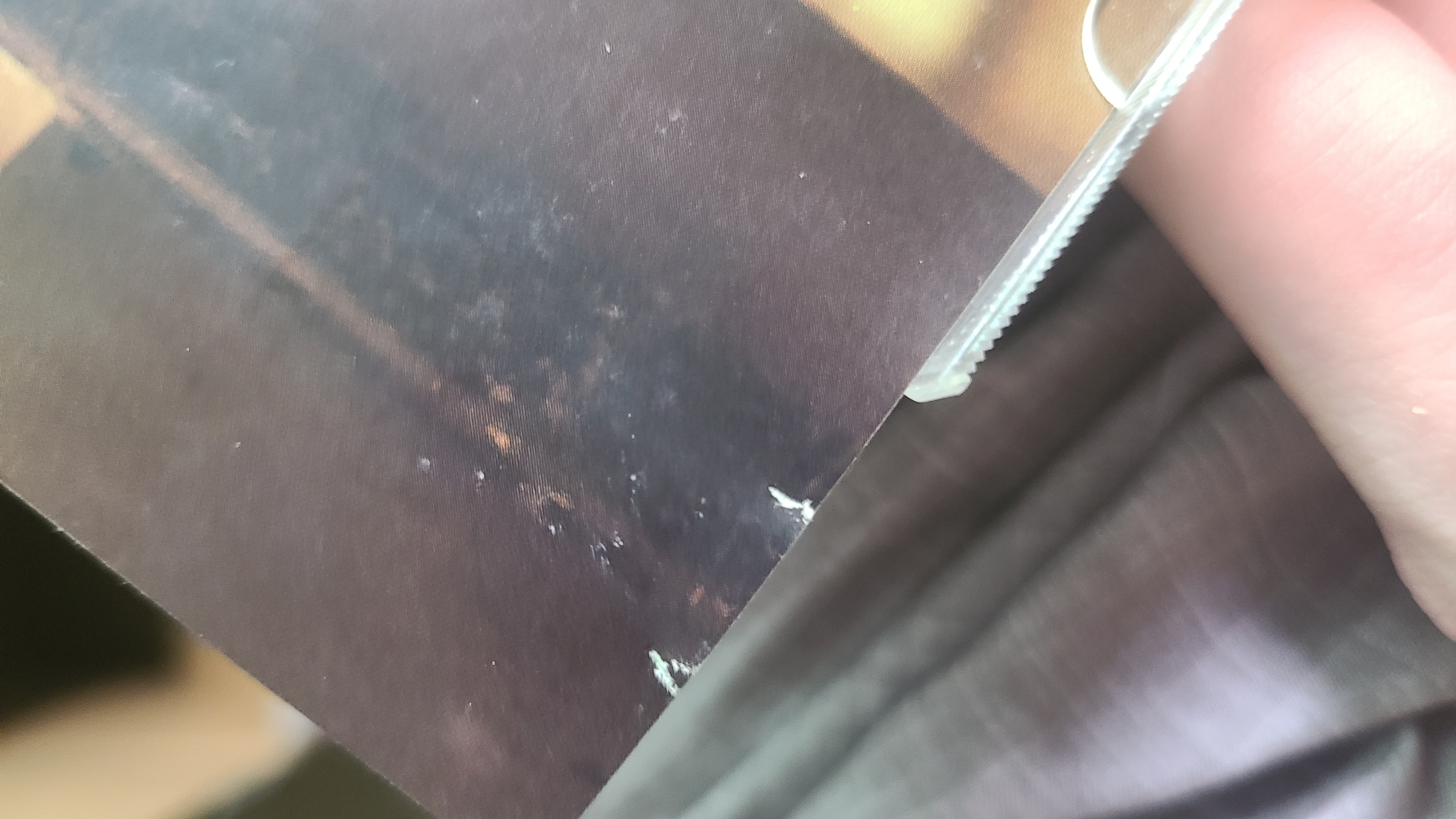 20250531_175747.jpg