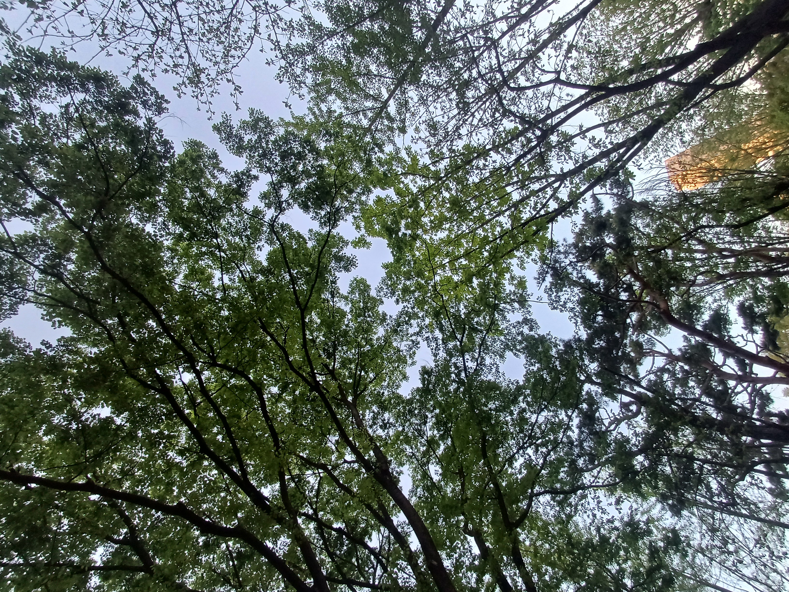 20250423_190153.jpg