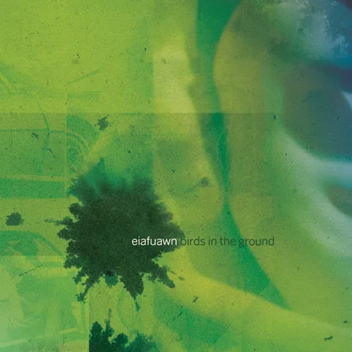 eiafuawn-birds-in-the-ground-Cover-Art.webp