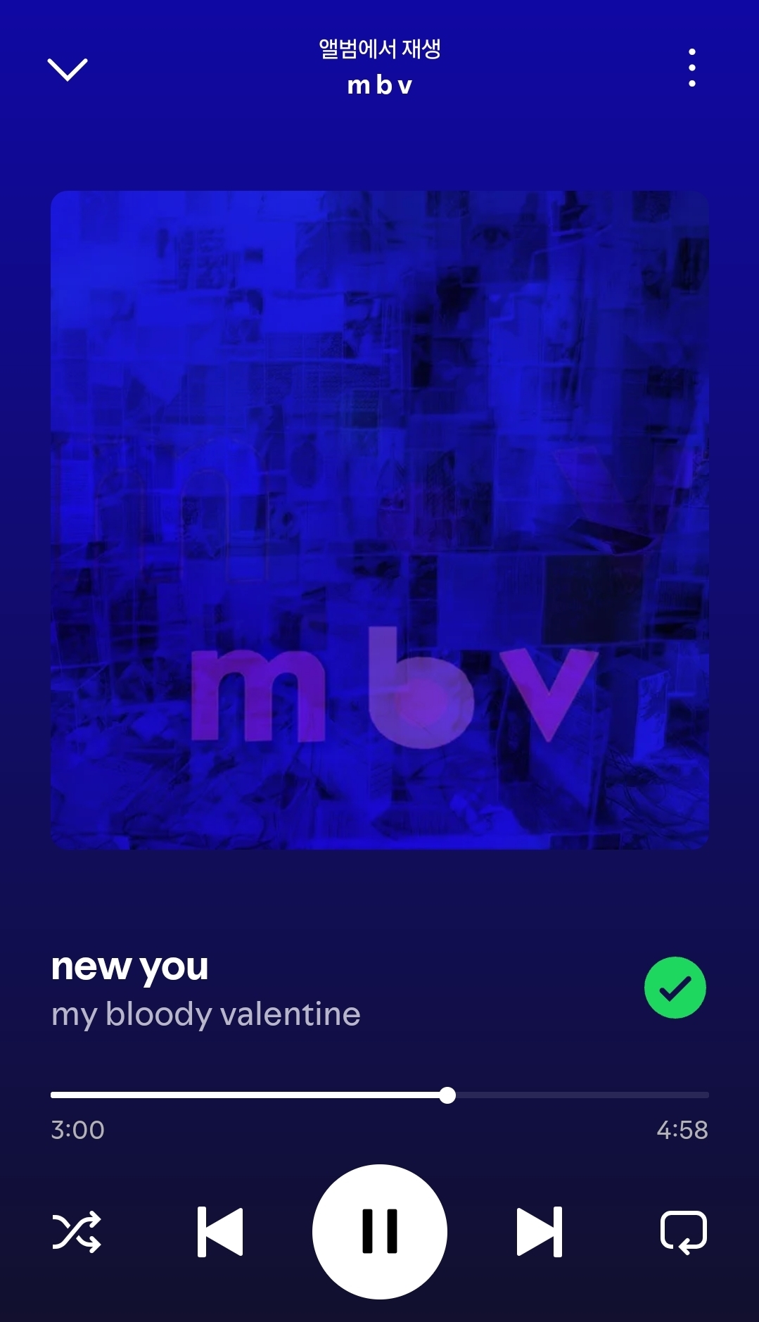 Screenshot_20250825_000721_Spotify.jpg