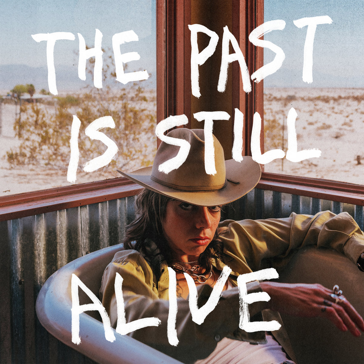 35 Hurray for the Riff Raff - The Past Is Still Alive Alt Country.jpg