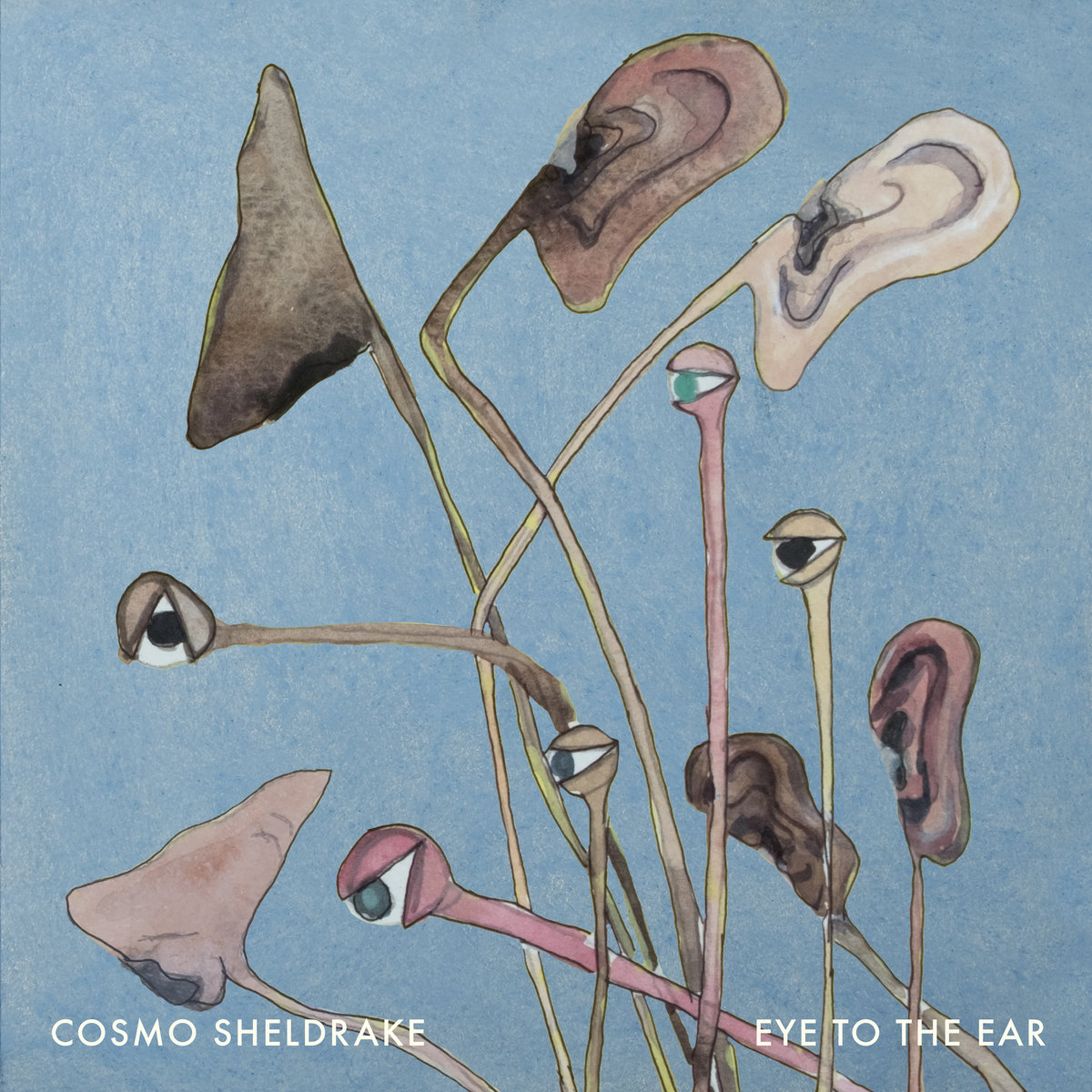 21 Cosmo Sheldrake - Eye to the Ear Folktronica, Chamber Pop.jpg