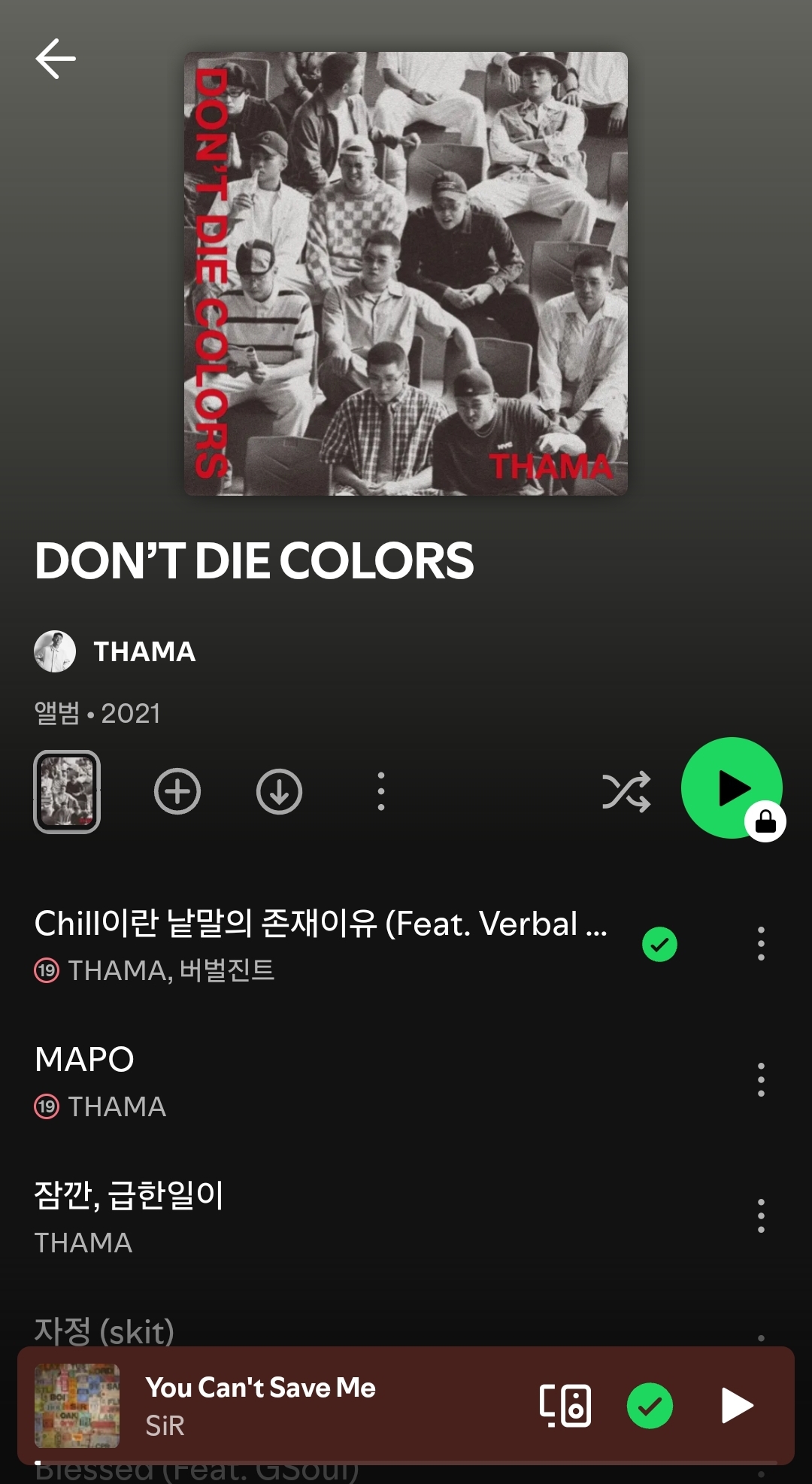 Screenshot_20250520_191630_Spotify.jpg