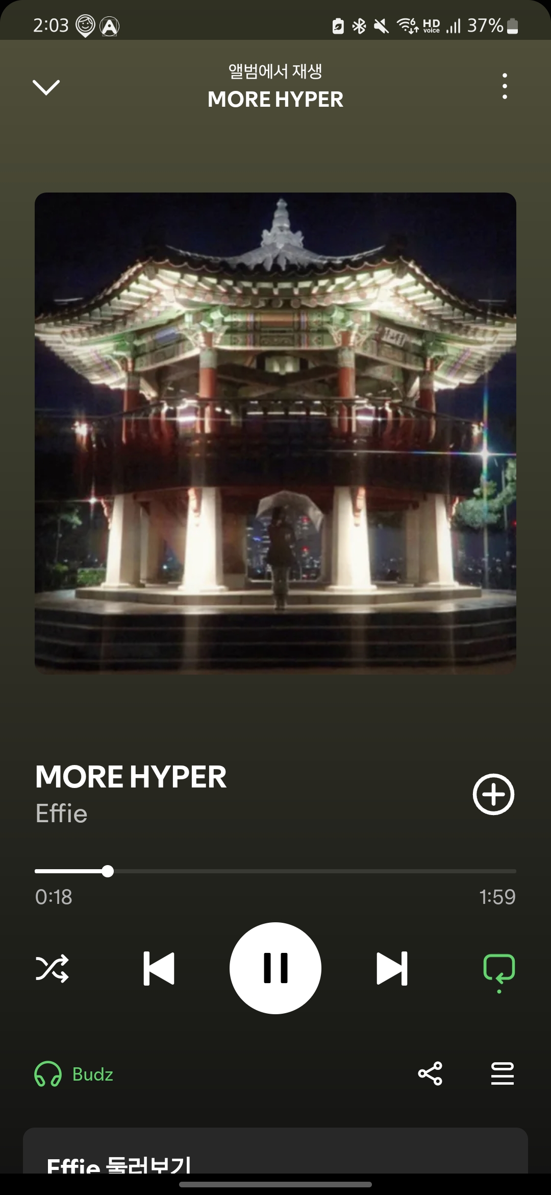Screenshot_20250509_140307_Spotify.jpg