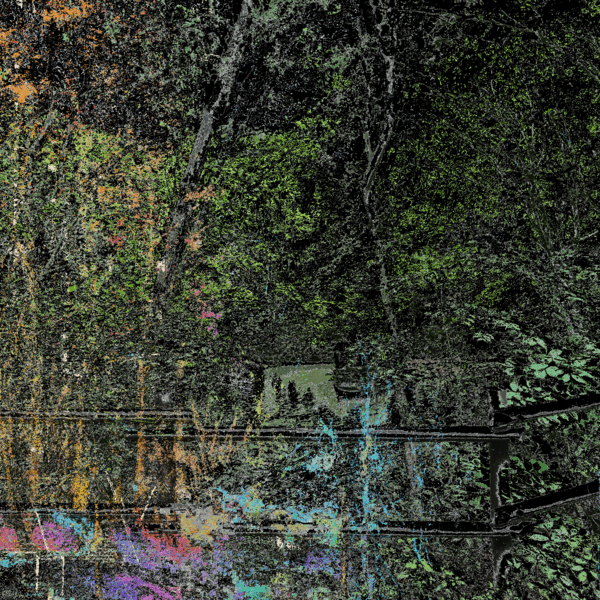 IMG_1578.png