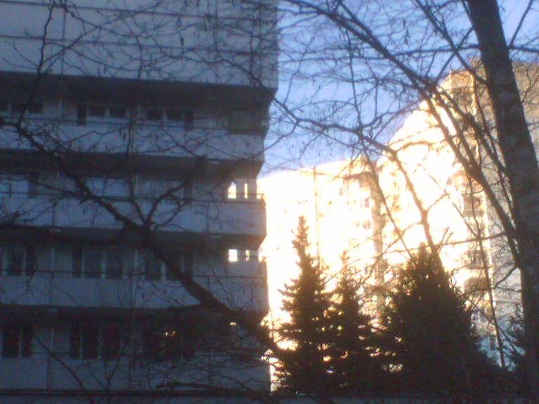 IMG_2071.jpeg