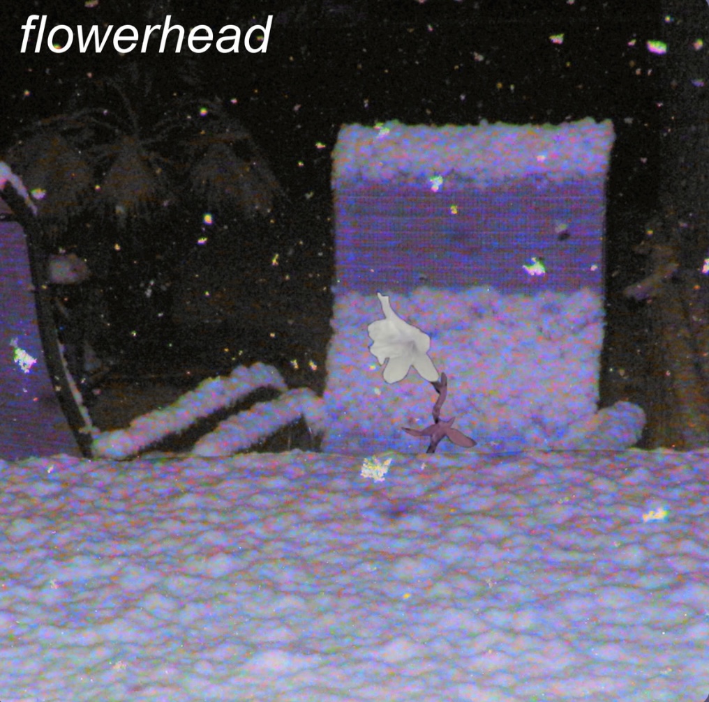IMG_1032.jpeg