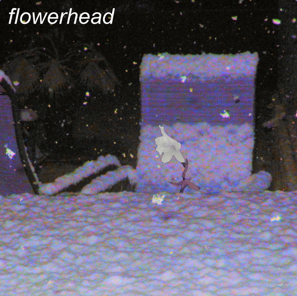 IMG_1021.jpeg