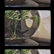 IMG_9507.jpeg