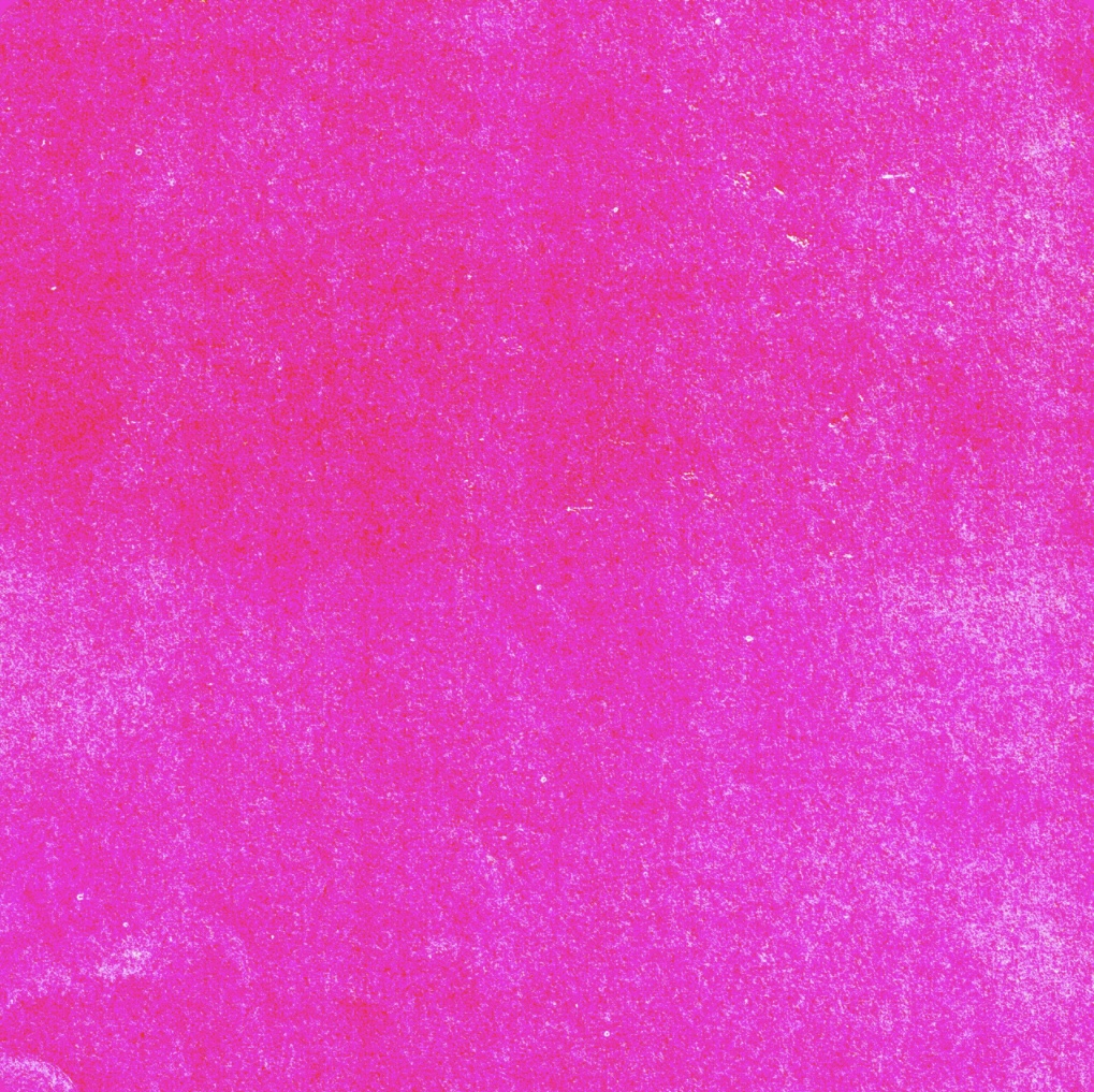 IMG_1298.jpeg