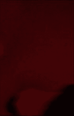 IMG_0526.png