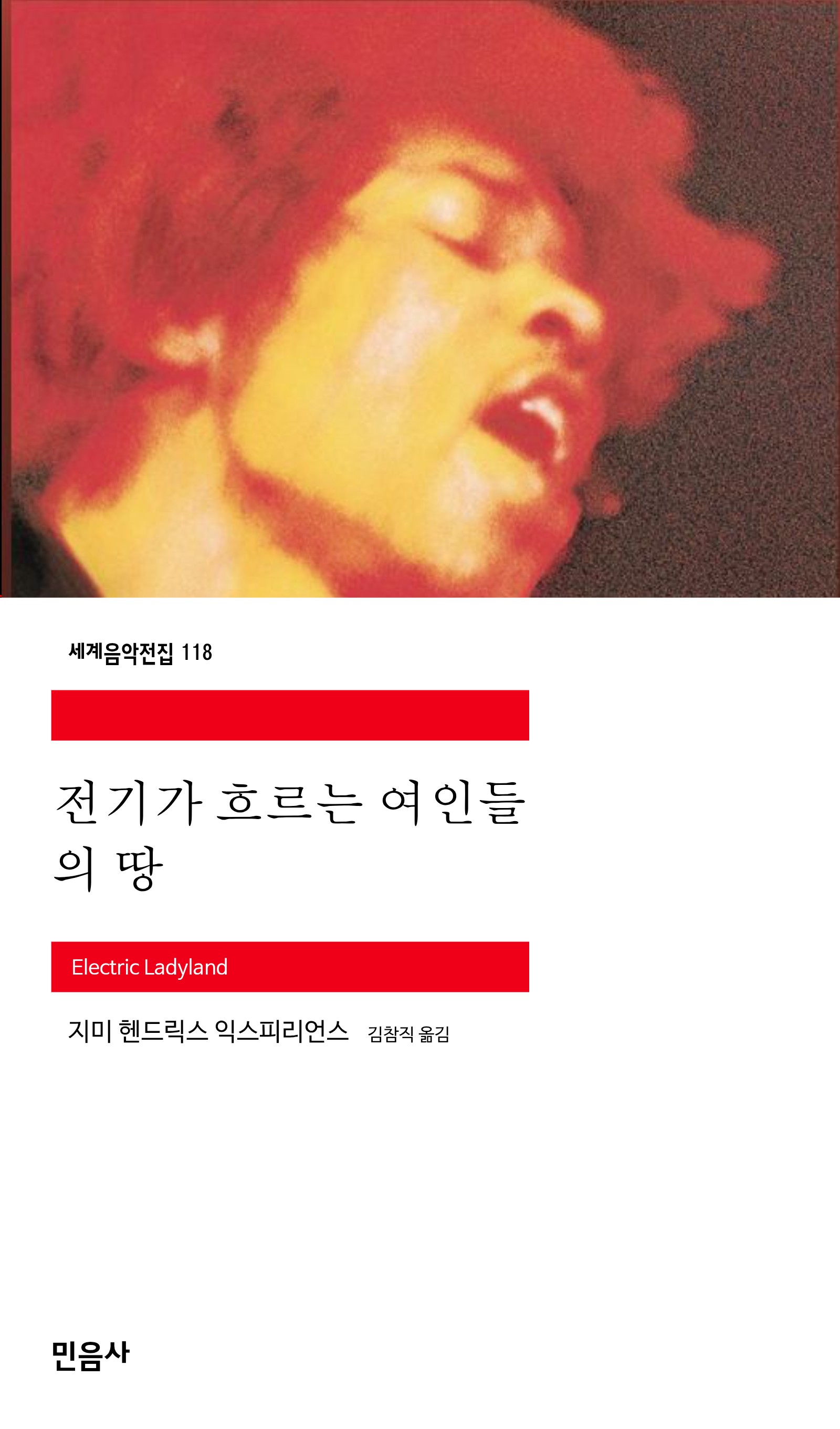 전기가 흐르는 여인들의 땅_민음사.jpg