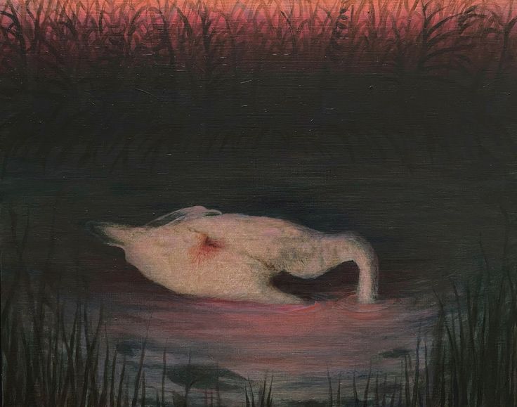 Dead swan.jpeg