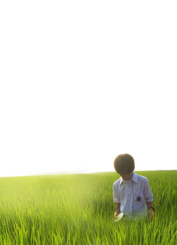 All about Lily Chou Chou (2001) wallpaper.jpeg