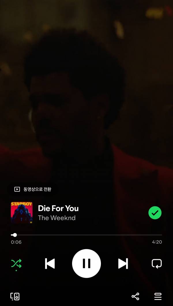 Screenshot_20241129_202720_Spotify.jpg