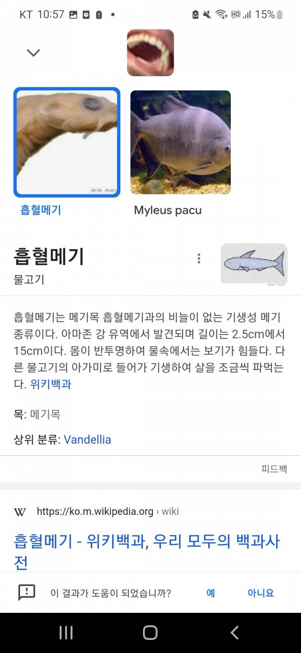 Screenshot_20220715-225725_Google.jpg