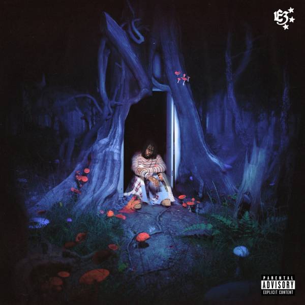 Midwxst-E3.jpg