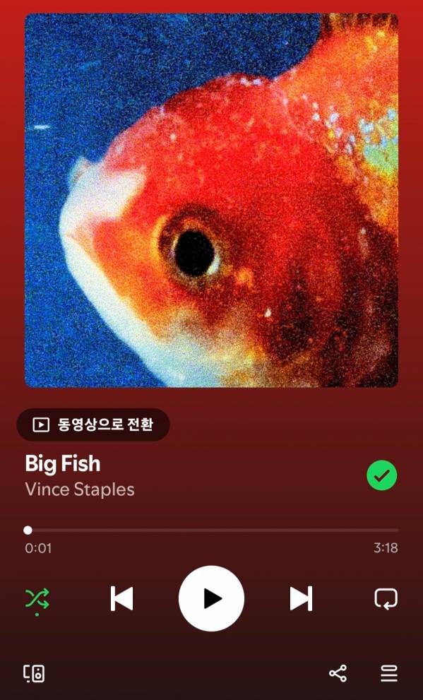 Screenshot_20250519_234747_Spotify.jpg