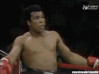 Funny (2).gif