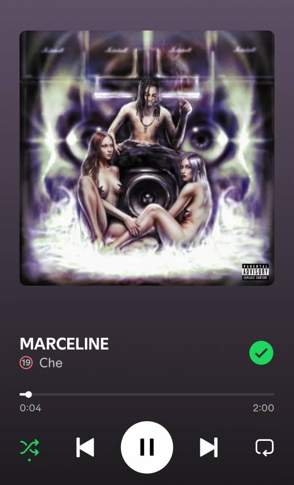 Screenshot_20250731_131932_Spotify.jpg