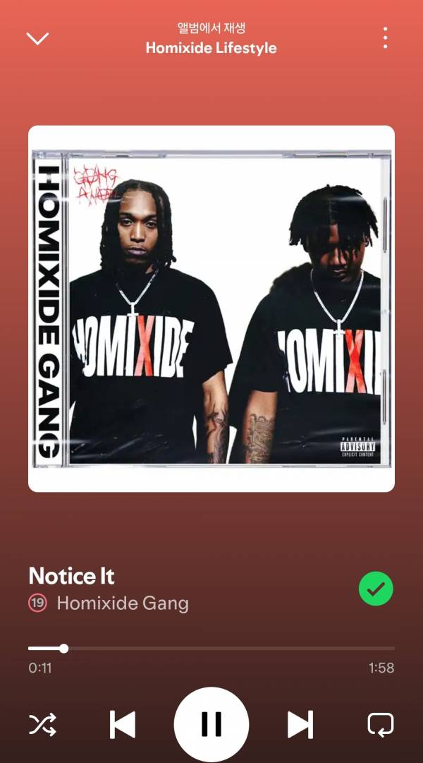 Screenshot_20250731_131549_Spotify.jpg