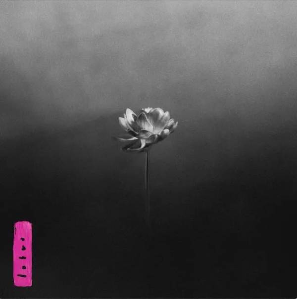 little-simz-new-album-lotus-v0-q51fanuh4jle1.jpeg