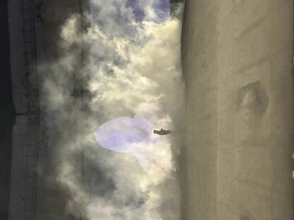 IMG_7565.jpeg
