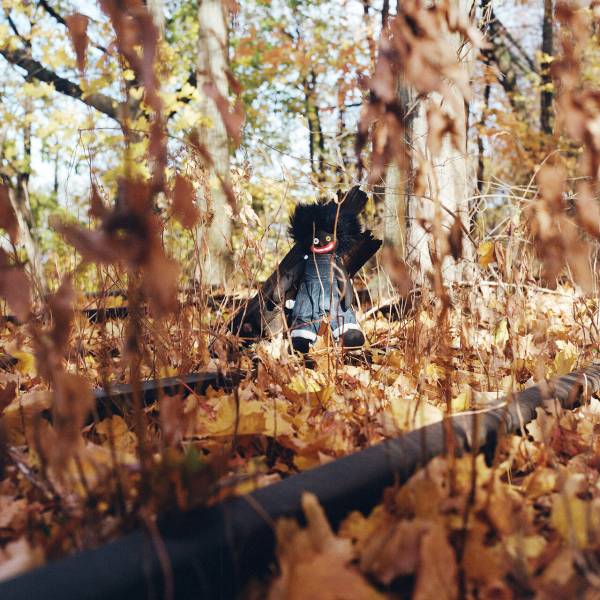 43 billy woods Golliwog.jpg