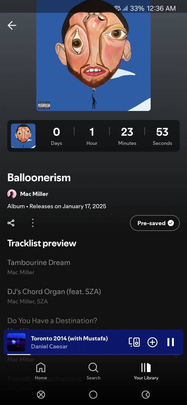 Screenshot_20250117_003607_Spotify.jpg