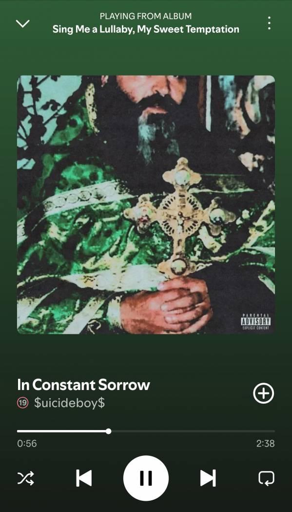 Screenshot_20250508_233125_Spotify.jpg