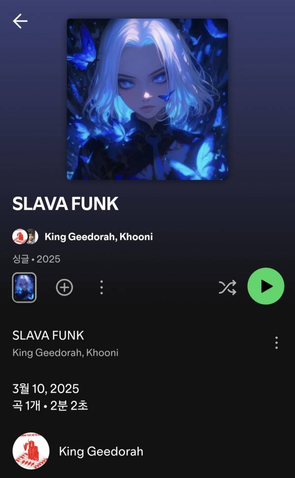 Screenshot_20250314_173227_Spotify.jpg