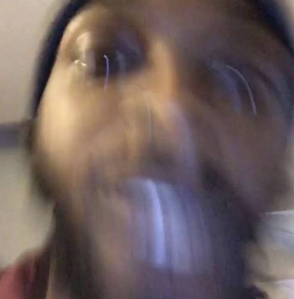Zooted.jpeg