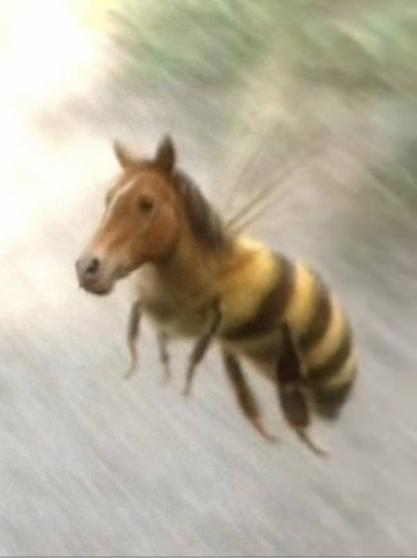 IMG_2310.jpeg