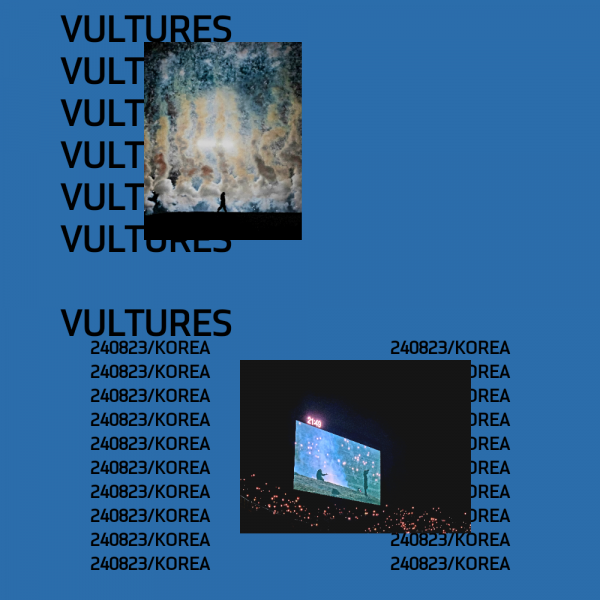 PABLO-VULTURES-1.png