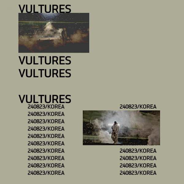 PABLO-VULTURES-1-2.png