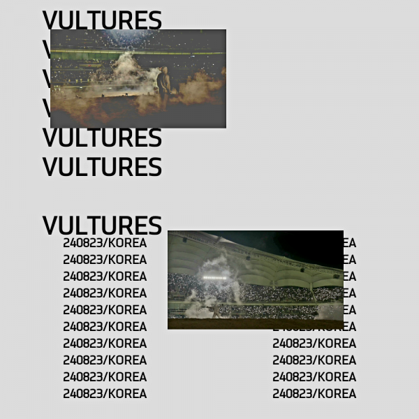 PABLO-VULTURES.png