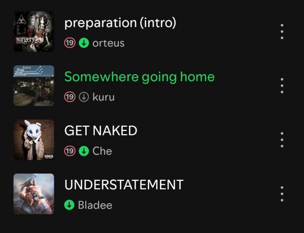 Screenshot_20250724_173925_Spotify.jpg
