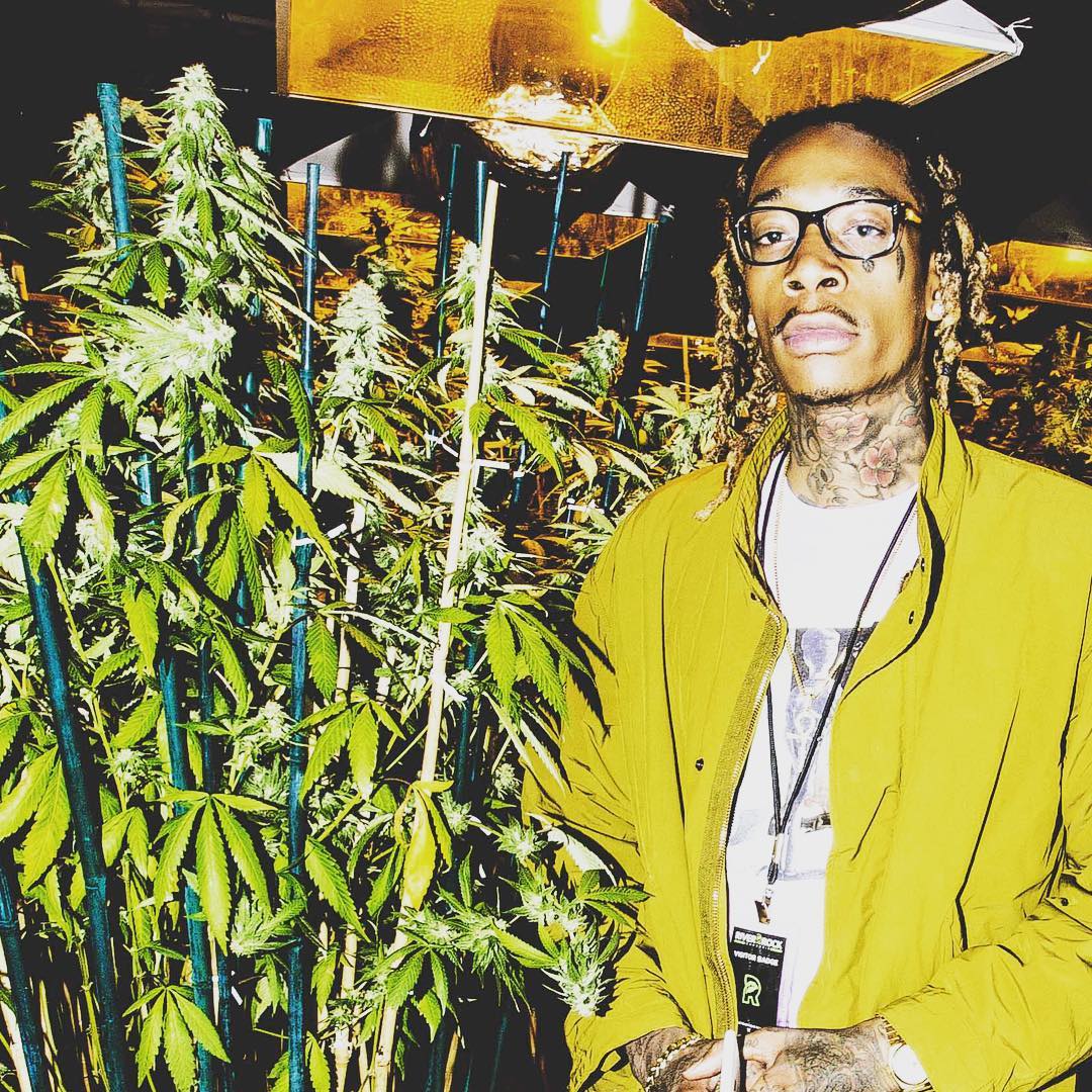 Cannabis cryptocurrency wiz khalifa gary eldred investing in real estate