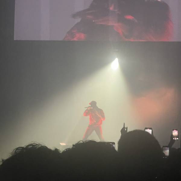 IMG_7411.jpeg