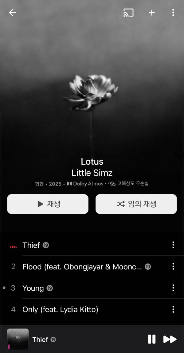 Screenshot_20250606_002629_Apple Music.jpg