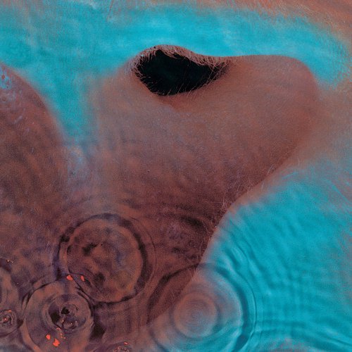meddle-1.jpg