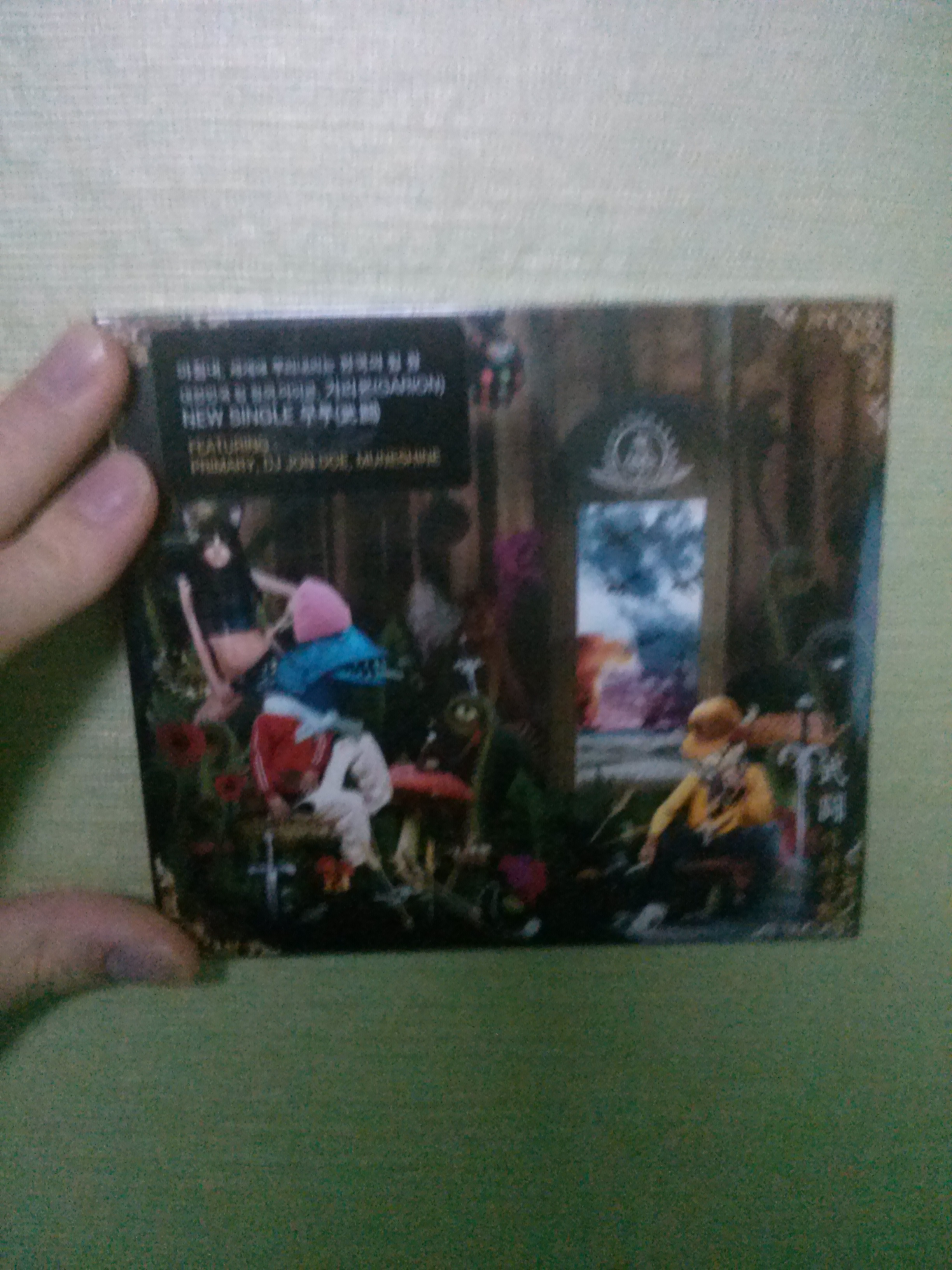 CAM00329.jpg