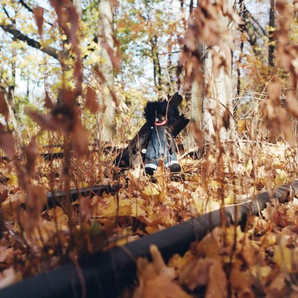 billy-woods-GOLLIWOG-1746200045-870x870.jpeg