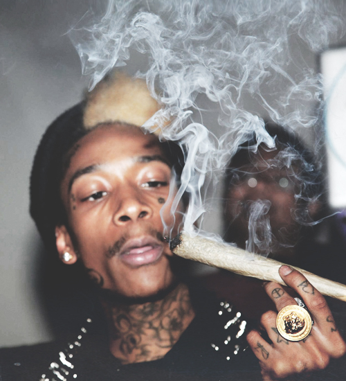 http%3A%2F%2F24.media.tumblr.com%2F4b58041b0b23b4774b29ca7200ac7c55%2Ftumblr_mfpp9eWj5b1r67ipro1_500.jpg : 위즈칼리파 떨 클라스