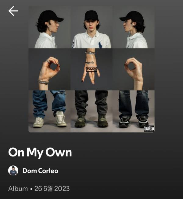 Screenshot_20250829_111723_Spotify.jpg