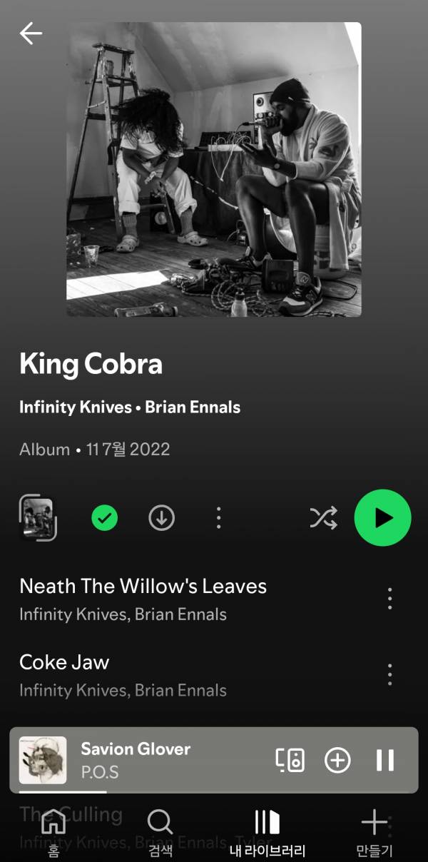Screenshot_20250811_203739_Spotify.jpg