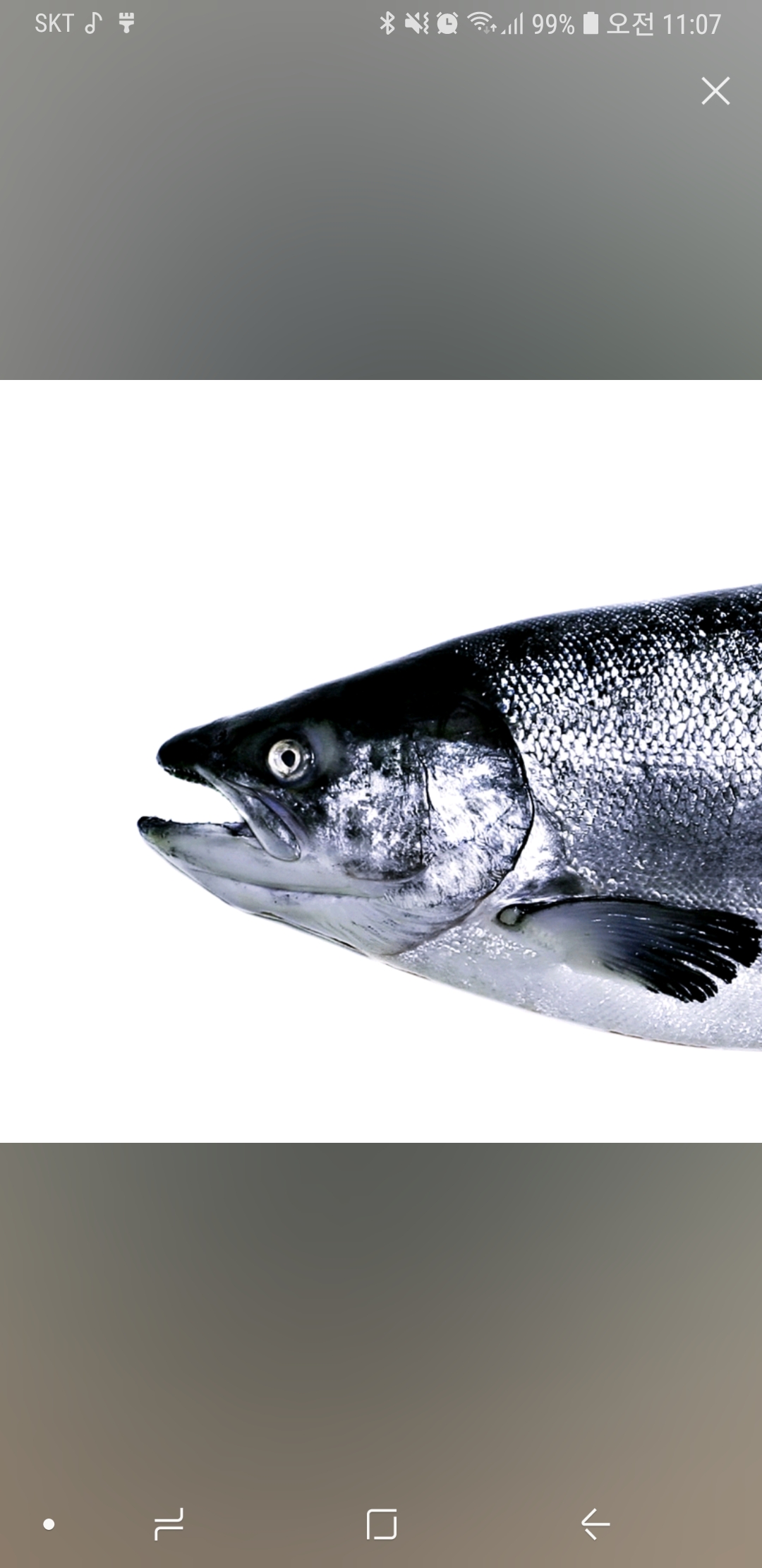 Screenshot_20190216-110714_Samsung Music.jpg : 라키 내한해도 나이때메 못가 썅